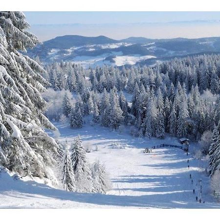 Le Bonhomme Proche De Kaysersberg Et Du Lac Blanc Εξωτερικό φωτογραφία